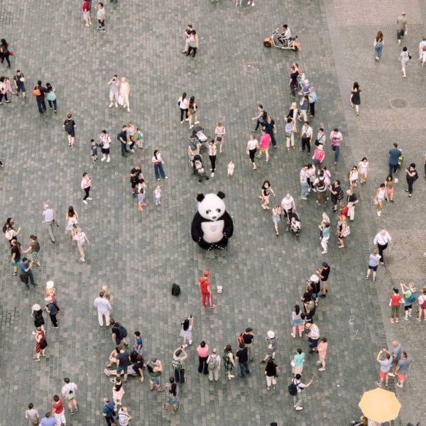 Top down view of a busy crowd surrounding a large model of a panda bear