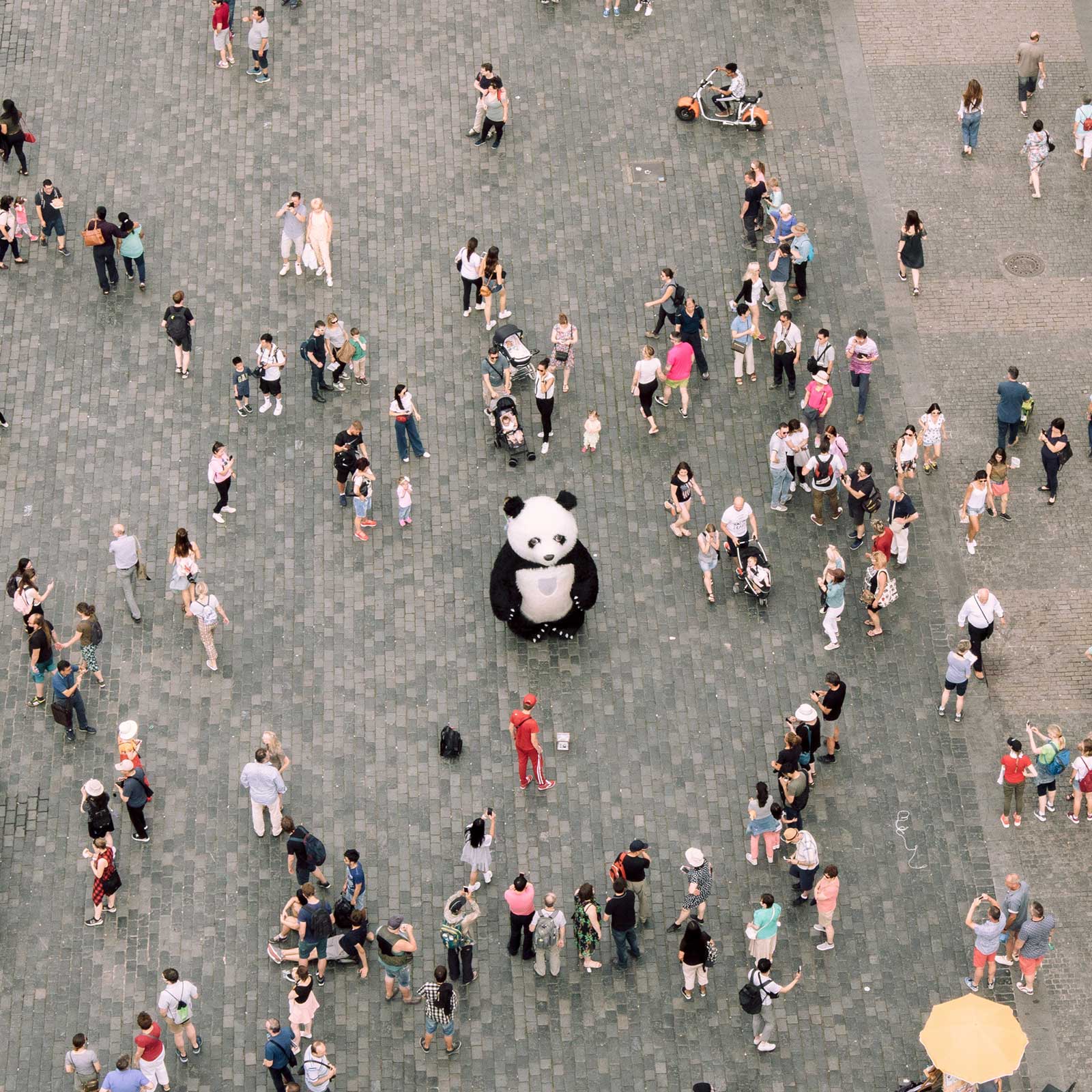Top down view of a busy crowd surrounding a large model of a panda bear